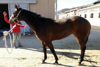 ���̵�è�� ����