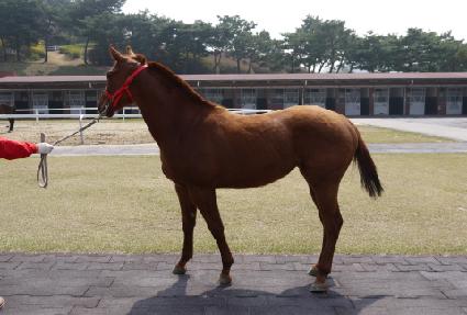 �Ʒ��� ����