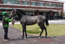 �Ҳ����� (BULKKOTJUPA) ����