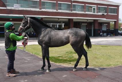 �Ҳ����� ����