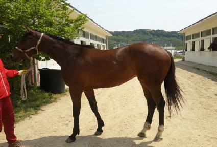 ��ױ۷θ� ����