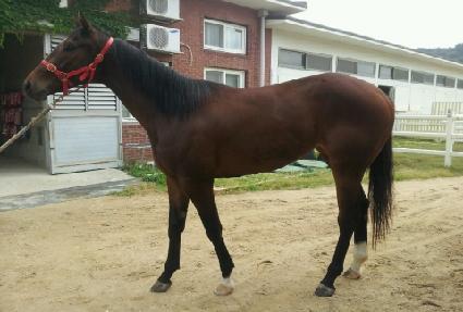 ���긮�� ����