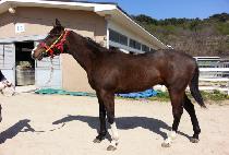 �����̸� (GUMPO MIREU) ����