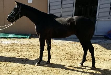 �����̹� ����