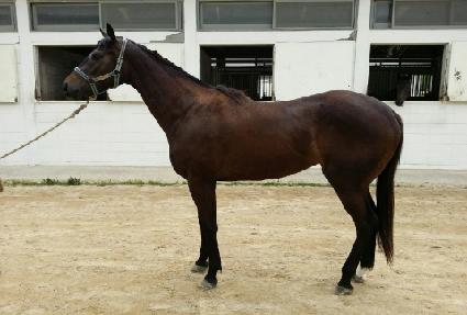 ������Ÿ�� ����