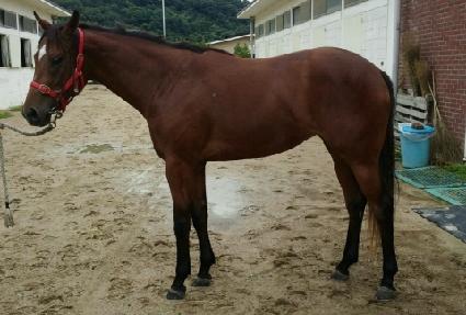 �������� ����