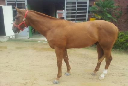 ������Ͻ� ����