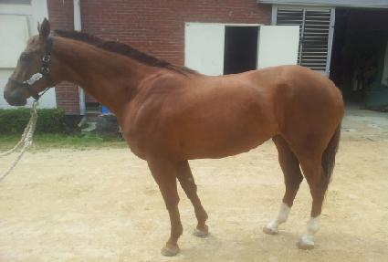 ��º�Ƽ ����