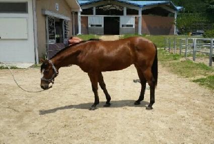 ��º��� ����