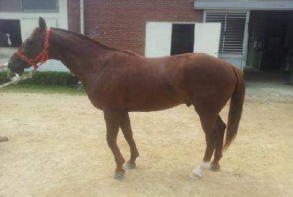 ��±۷��� ����