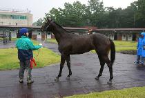 ���巹�ڵ� (WORLD RECORD) ����