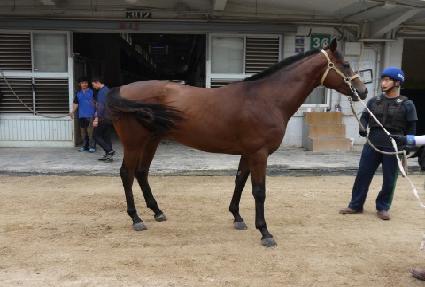 ��Ʋ���� ����