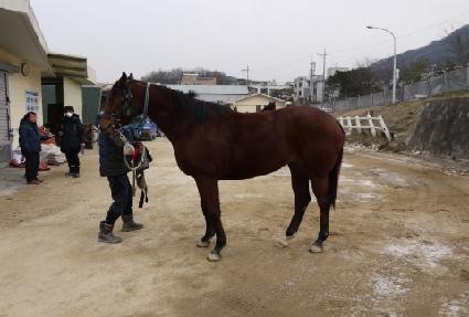 �ƽ�Ʈ�ΰ� ����