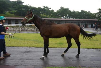 ��ũŷ ����