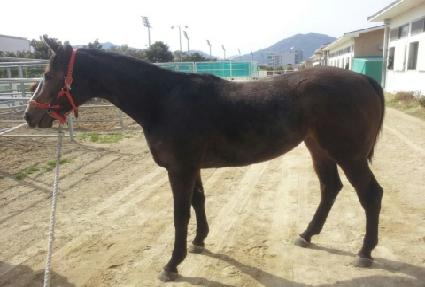 �ǵ��� ����