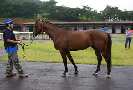 ����ź ����