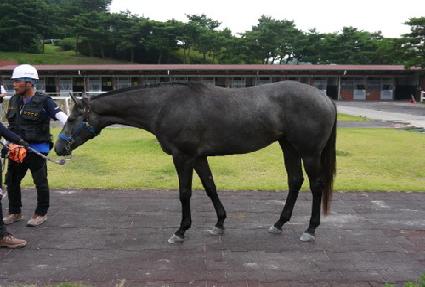 ��� ����