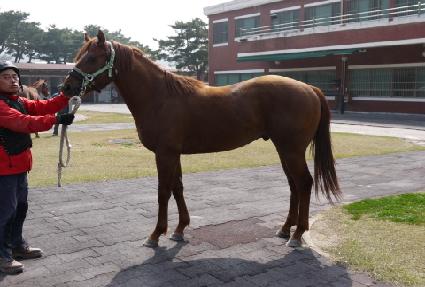 ���������� ����