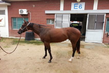 ������ ����