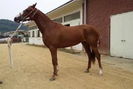 �ø��۽� ����