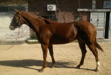 ����¡��� ����