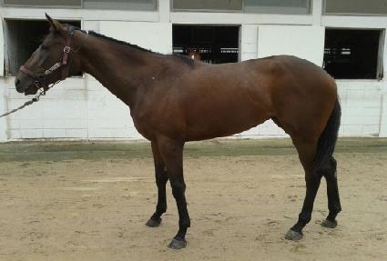 �Ƹ��� ����