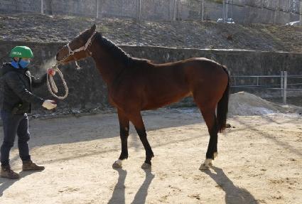 ��ƼĹ ����