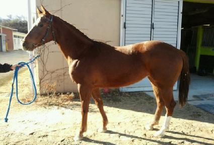 ���� ����