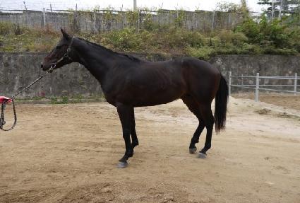 ���ƽ���� ����