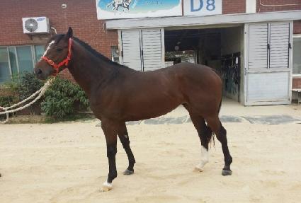 ���̾��� ����