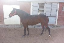 ���翩�� (SEONNYANG YEOJE) ����