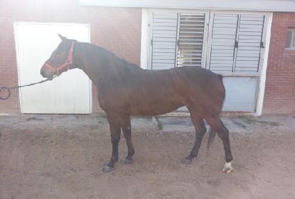 ���翩�� ����