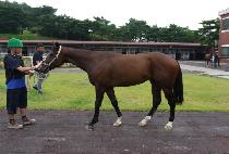 �ݾƵѸ� (GEUMA DOOLEY) ����