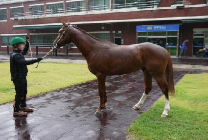 ��ȣ������ ����