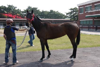 ������̸� ����