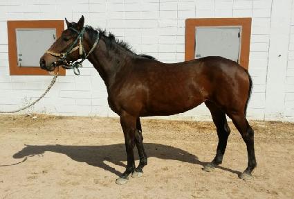 �����̽��� ����