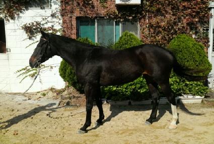 ������ ����