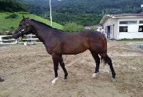 �����ɼ� (JOSEPHINE SUN) ����