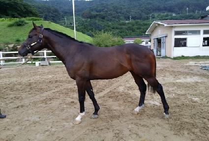 �����ɼ� ����