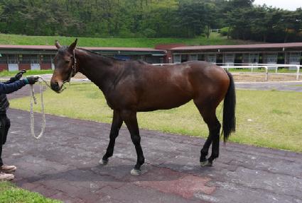 ������丮 ����