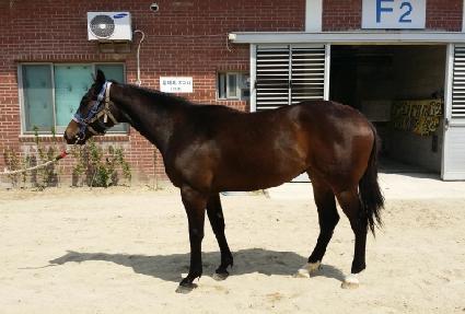 �׸���Ÿ ����