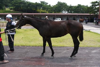 ������ī ����