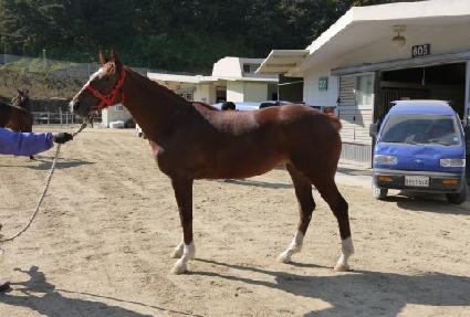 Ŭ�ι��帲 ����