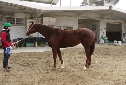 ����Ʈ������ ����