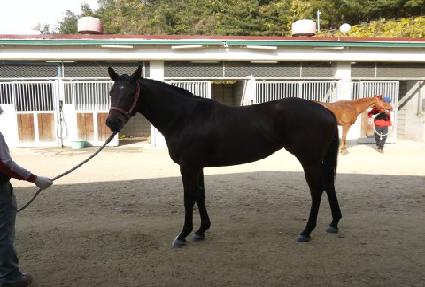 �������� ����