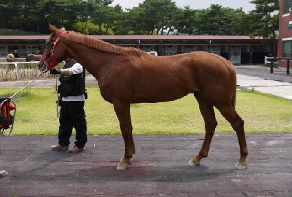 ��ս� ����