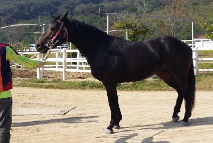 â���ǹٴ� ����