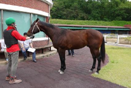 ��Ʈ�е帲 ����