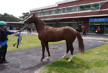 ǳ�������� ����