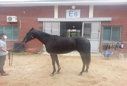 Ȳ�ݺ��ٴ� ����